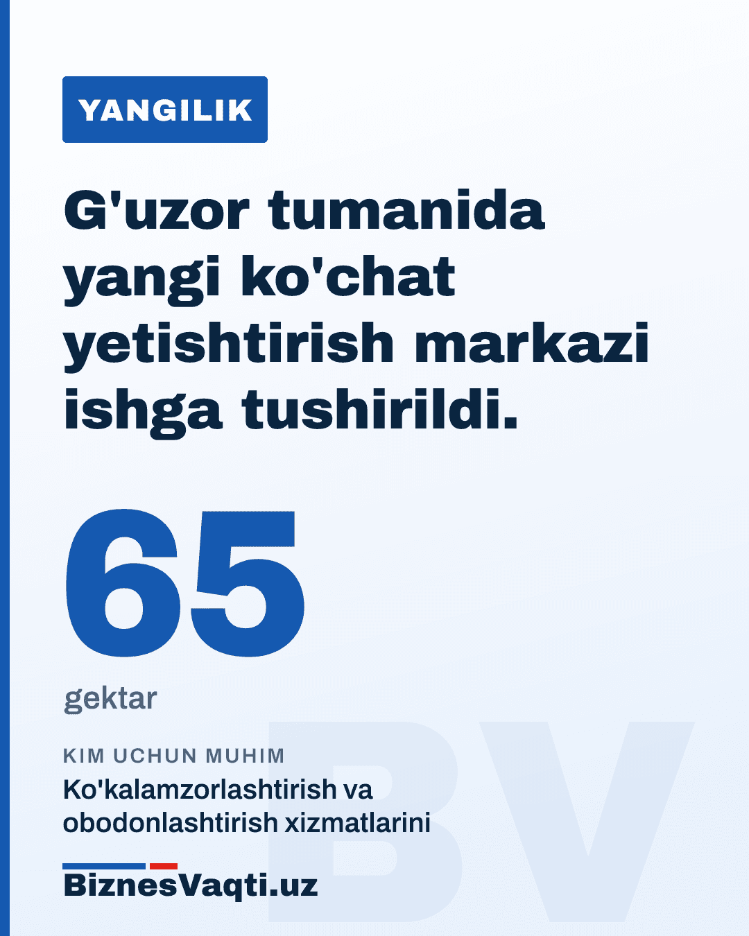 65 gektar — G'uzor tumanida yangi ko'chat yetishtirish markazi ishga tushirildi.